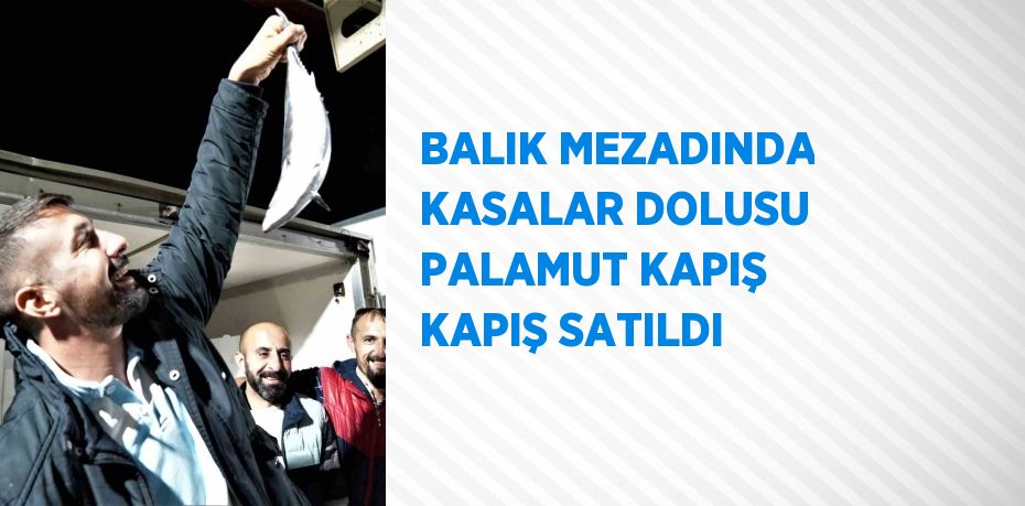 BALIK MEZADINDA KASALAR DOLUSU PALAMUT KAPIŞ KAPIŞ SATILDI