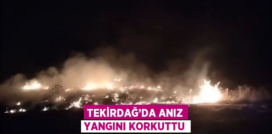 TEKİRDAĞ’DA ANIZ YANGINI KORKUTTU