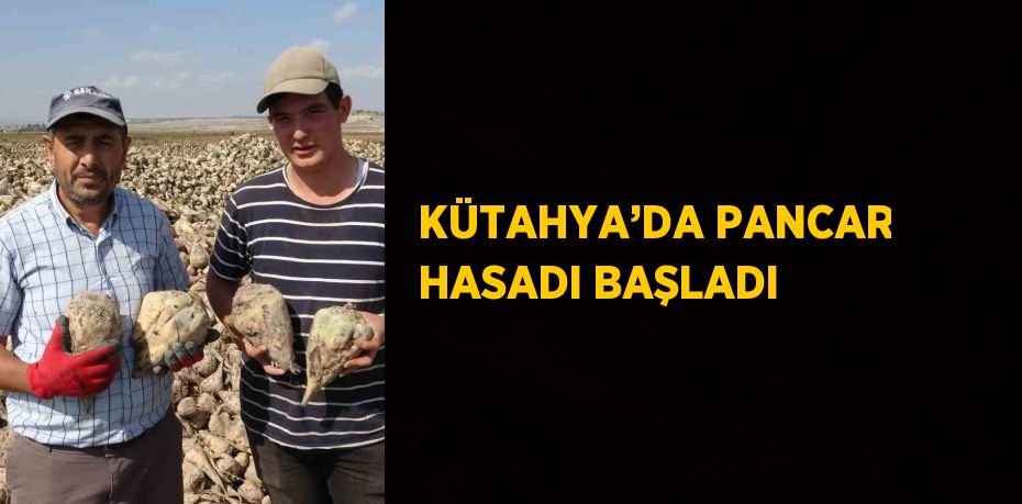 KÜTAHYA’DA PANCAR HASADI BAŞLADI