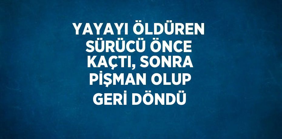 YAYAYI ÖLDÜREN SÜRÜCÜ ÖNCE KAÇTI, SONRA PİŞMAN OLUP GERİ DÖNDÜ