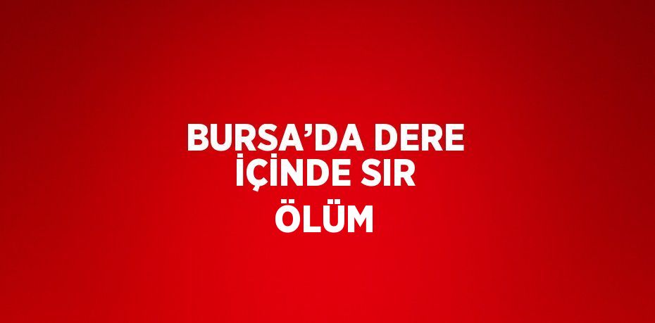 BURSA’DA DERE İÇİNDE SIR ÖLÜM