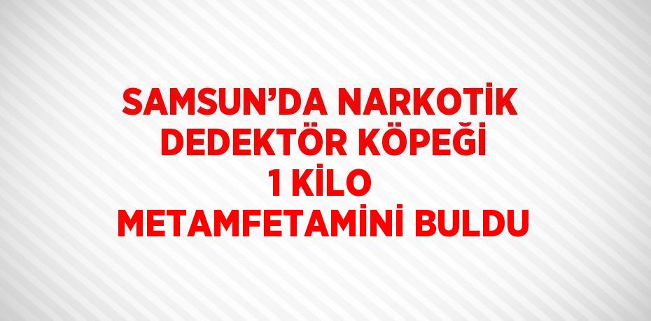 SAMSUN’DA NARKOTİK DEDEKTÖR KÖPEĞİ 1 KİLO METAMFETAMİNİ BULDU