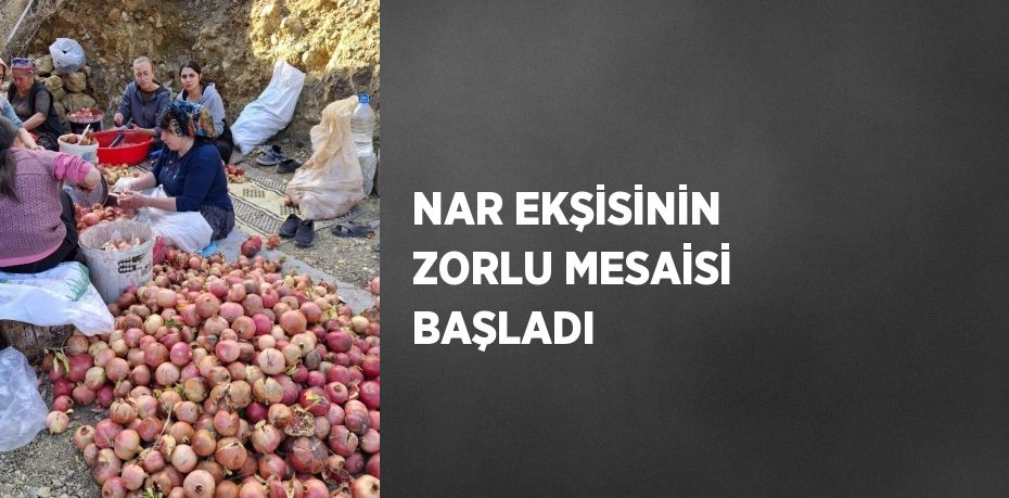 NAR EKŞİSİNİN ZORLU MESAİSİ BAŞLADI