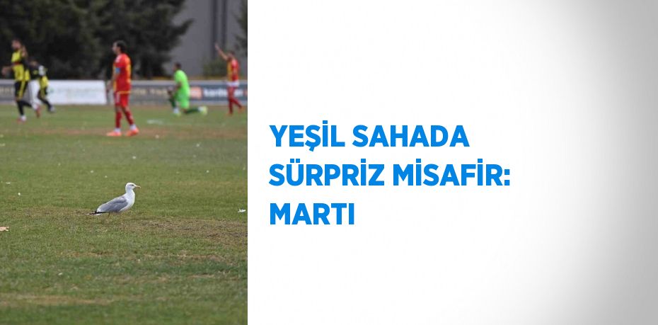 YEŞİL SAHADA SÜRPRİZ MİSAFİR: MARTI