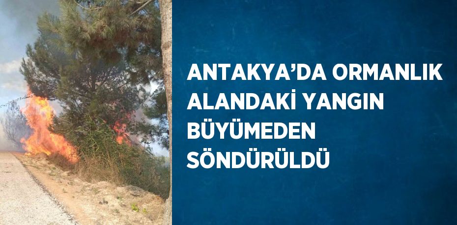 ANTAKYA’DA ORMANLIK ALANDAKİ YANGIN BÜYÜMEDEN SÖNDÜRÜLDÜ