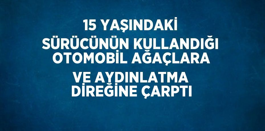 15 YAŞINDAKİ SÜRÜCÜNÜN KULLANDIĞI OTOMOBİL AĞAÇLARA VE AYDINLATMA DİREĞİNE ÇARPTI