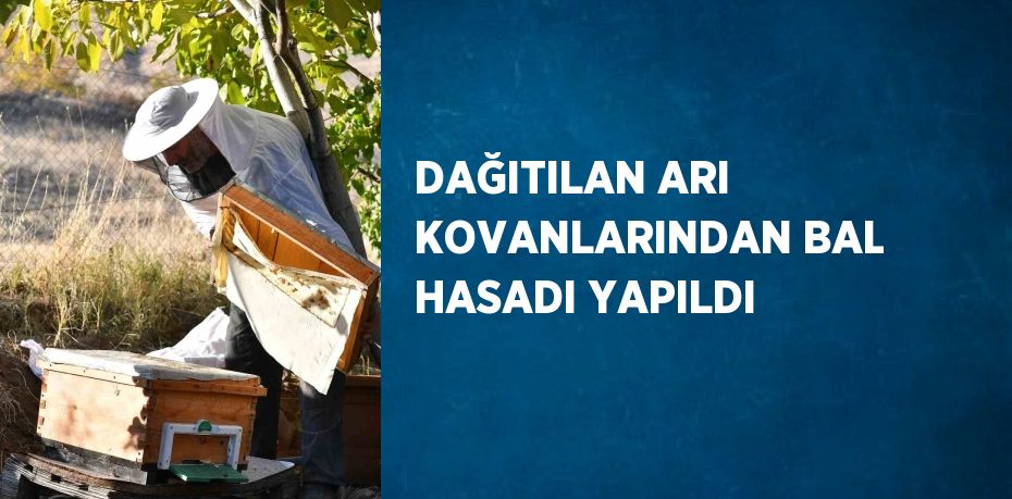 DAĞITILAN ARI KOVANLARINDAN BAL HASADI YAPILDI