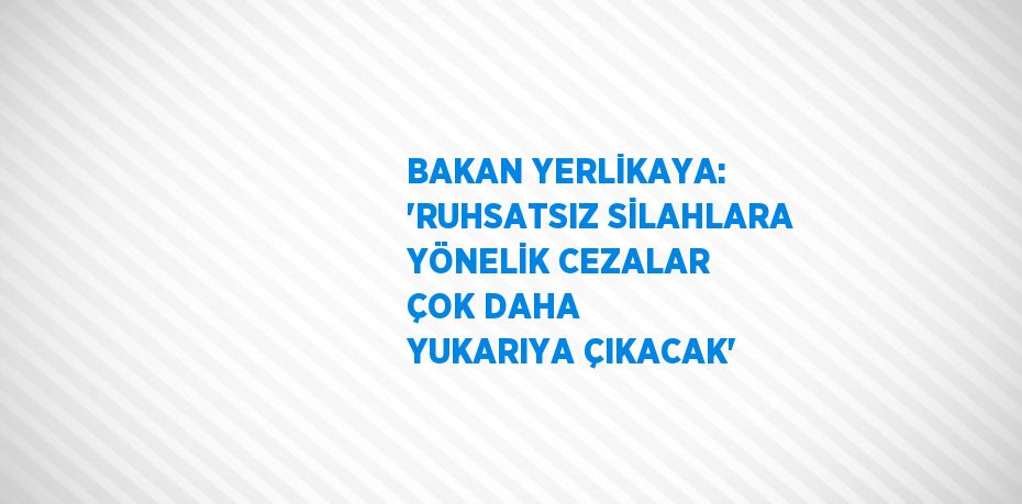 BAKAN YERLİKAYA: 'RUHSATSIZ SİLAHLARA YÖNELİK CEZALAR ÇOK DAHA YUKARIYA ÇIKACAK'