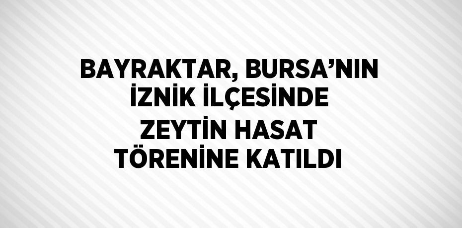 BAYRAKTAR, BURSA’NIN İZNİK İLÇESİNDE ZEYTİN HASAT TÖRENİNE KATILDI