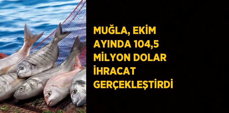 MUĞLA, EKİM AYINDA 104,5 MİLYON DOLAR İHRACAT GERÇEKLEŞTİRDİ