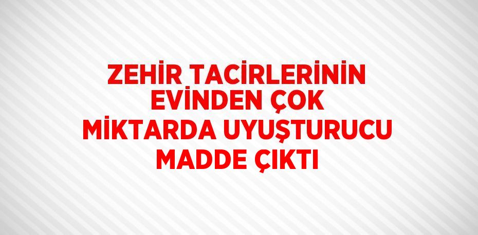 ZEHİR TACİRLERİNİN EVİNDEN ÇOK MİKTARDA UYUŞTURUCU MADDE ÇIKTI