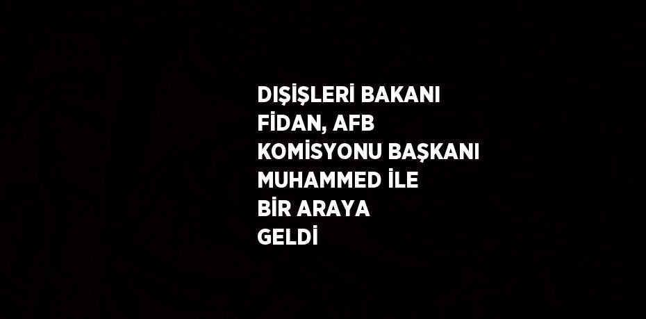 DIŞİŞLERİ BAKANI FİDAN, AFB KOMİSYONU BAŞKANI MUHAMMED İLE BİR ARAYA GELDİ