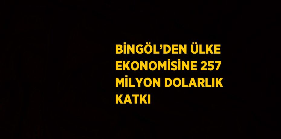 BİNGÖL’DEN ÜLKE EKONOMİSİNE 257 MİLYON DOLARLIK KATKI