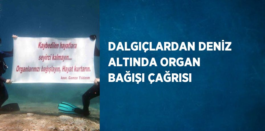 DALGIÇLARDAN DENİZ ALTINDA ORGAN BAĞIŞI ÇAĞRISI