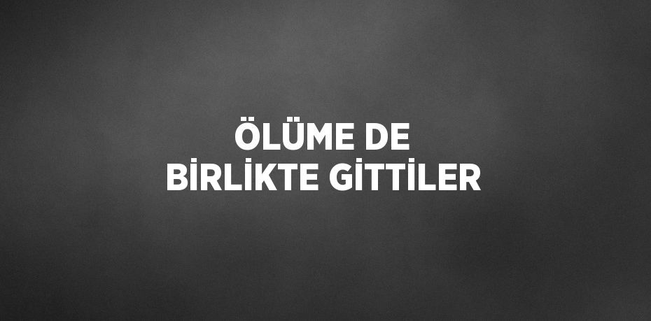 ÖLÜME DE BİRLİKTE GİTTİLER