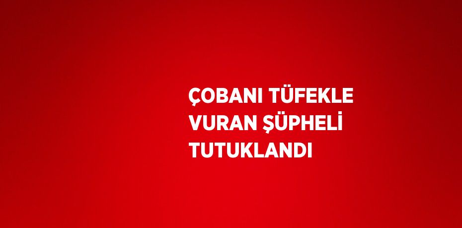 ÇOBANI TÜFEKLE VURAN ŞÜPHELİ TUTUKLANDI