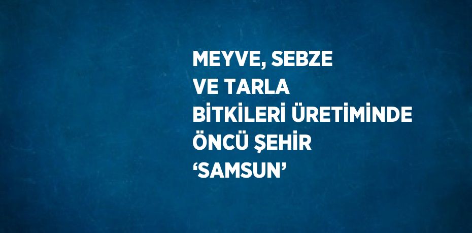 MEYVE, SEBZE VE TARLA BİTKİLERİ ÜRETİMİNDE ÖNCÜ ŞEHİR ‘SAMSUN’