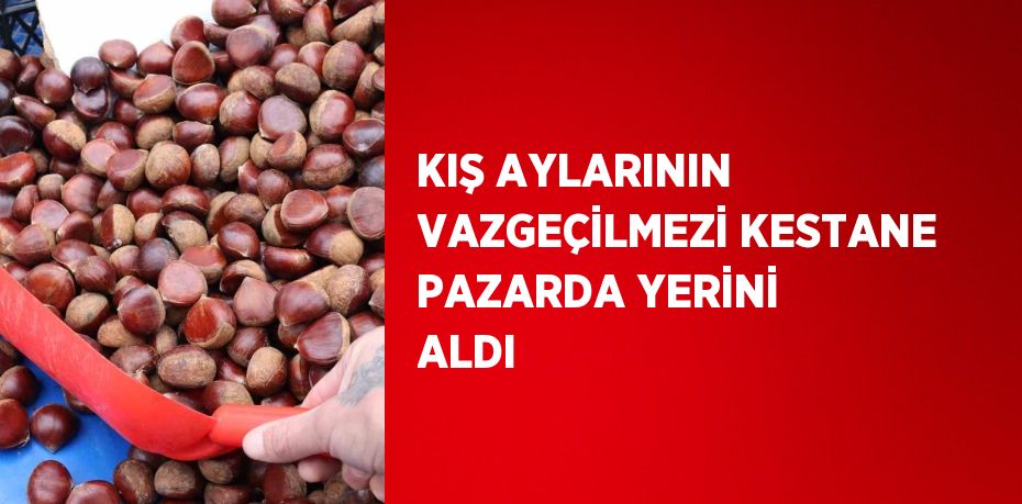 KIŞ AYLARININ VAZGEÇİLMEZİ KESTANE PAZARDA YERİNİ ALDI