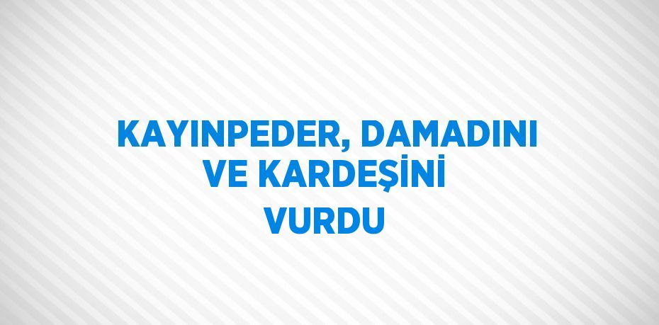 KAYINPEDER, DAMADINI VE KARDEŞİNİ VURDU