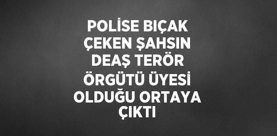 POLİSE BIÇAK ÇEKEN ŞAHSIN DEAŞ TERÖR ÖRGÜTÜ ÜYESİ OLDUĞU ORTAYA ÇIKTI