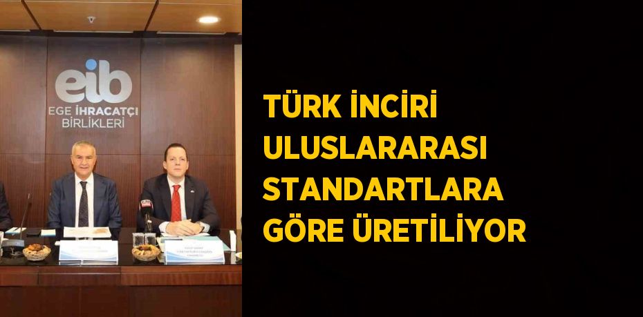 TÜRK İNCİRİ ULUSLARARASI STANDARTLARA GÖRE ÜRETİLİYOR