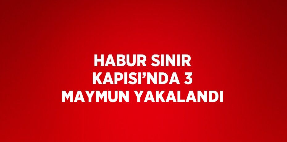 HABUR SINIR KAPISI’NDA 3 MAYMUN YAKALANDI