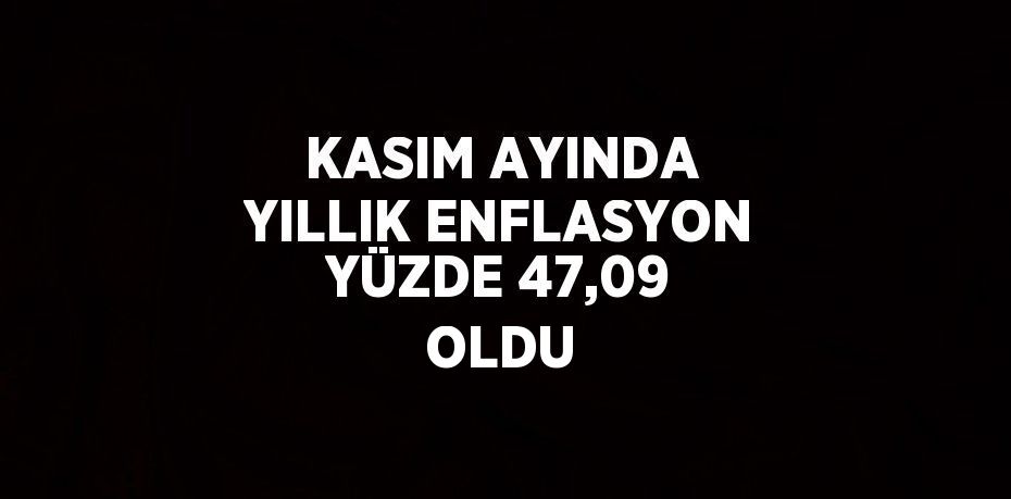 KASIM AYINDA YILLIK ENFLASYON YÜZDE 47,09 OLDU