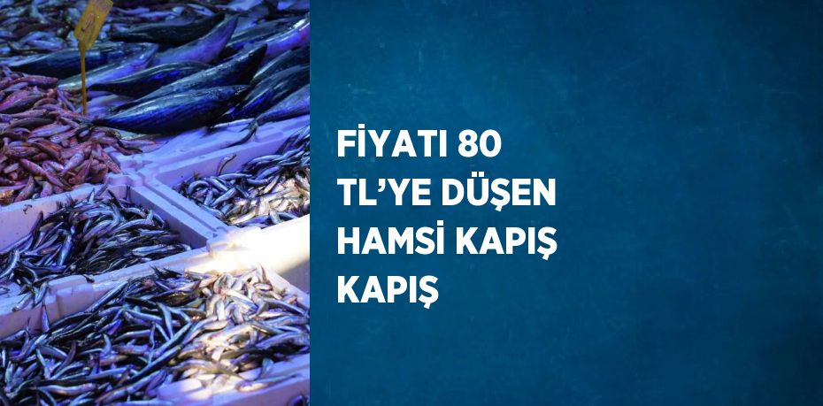 FİYATI 80 TL’YE DÜŞEN HAMSİ KAPIŞ KAPIŞ