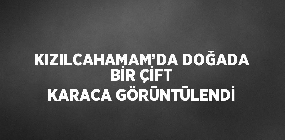 KIZILCAHAMAM’DA DOĞADA BİR ÇİFT KARACA GÖRÜNTÜLENDİ