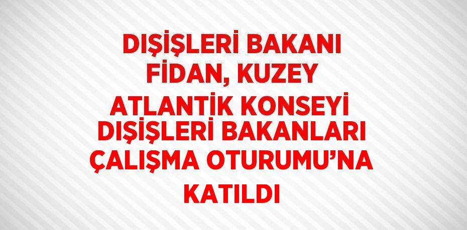 DIŞİŞLERİ BAKANI FİDAN, KUZEY ATLANTİK KONSEYİ DIŞİŞLERİ BAKANLARI ÇALIŞMA OTURUMU’NA KATILDI