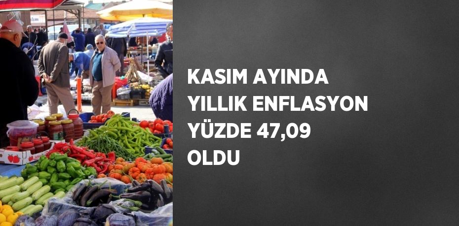 KASIM AYINDA YILLIK ENFLASYON YÜZDE 47,09 OLDU