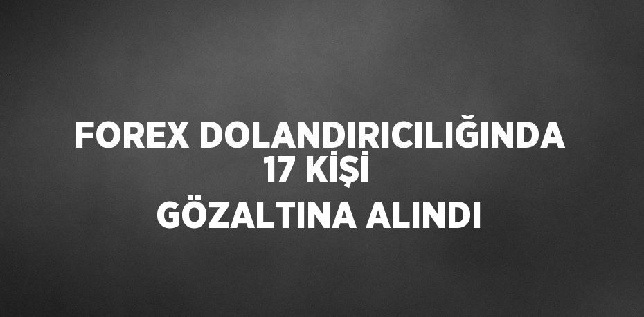 FOREX DOLANDIRICILIĞINDA 17 KİŞİ GÖZALTINA ALINDI