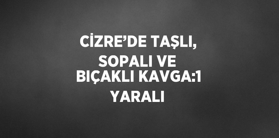 CİZRE’DE TAŞLI, SOPALI VE BIÇAKLI KAVGA:1 YARALI