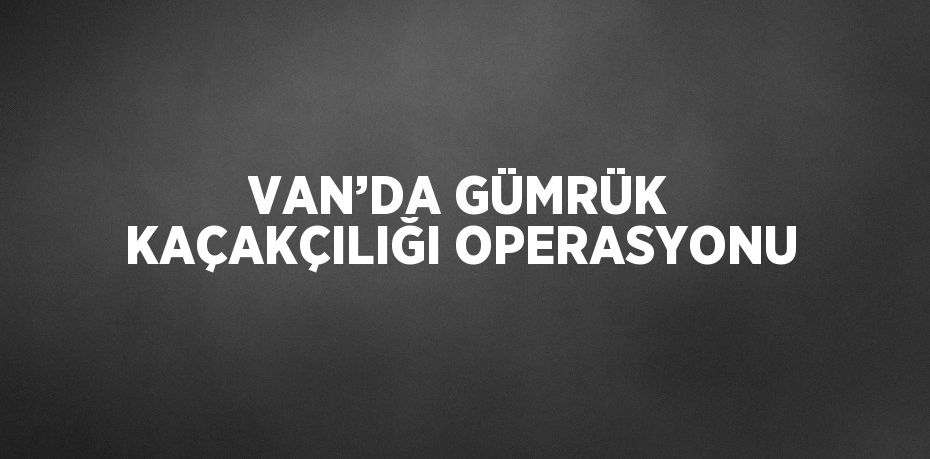 VAN’DA GÜMRÜK KAÇAKÇILIĞI OPERASYONU