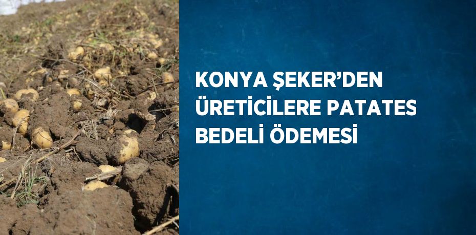 KONYA ŞEKER’DEN ÜRETİCİLERE PATATES BEDELİ ÖDEMESİ