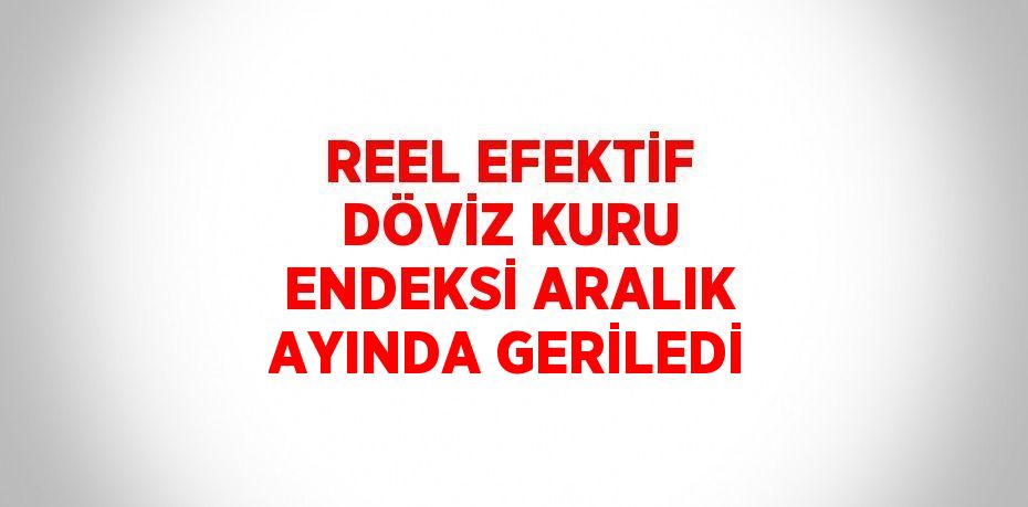 REEL EFEKTİF DÖVİZ KURU ENDEKSİ ARALIK AYINDA GERİLEDİ