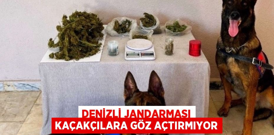 DENİZLİ JANDARMASI KAÇAKÇILARA GÖZ AÇTIRMIYOR