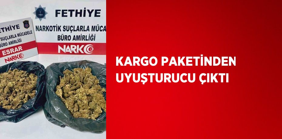 KARGO PAKETİNDEN UYUŞTURUCU ÇIKTI