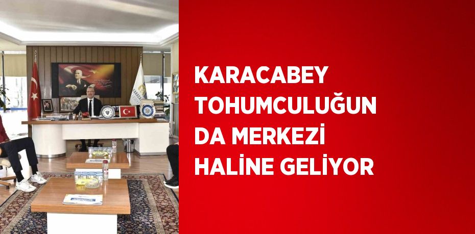 KARACABEY TOHUMCULUĞUN DA MERKEZİ HALİNE GELİYOR