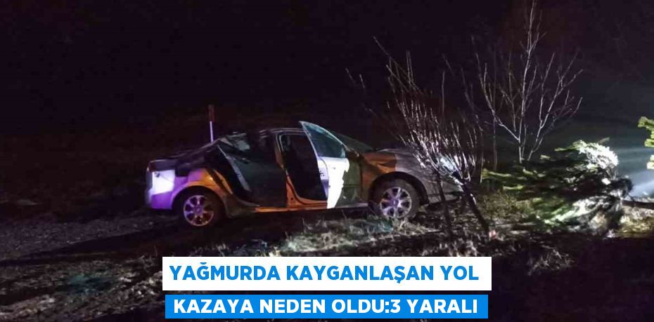 YAĞMURDA KAYGANLAŞAN YOL KAZAYA NEDEN OLDU:3 YARALI