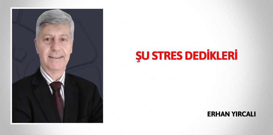 ŞU STRES DEDİKLERİ