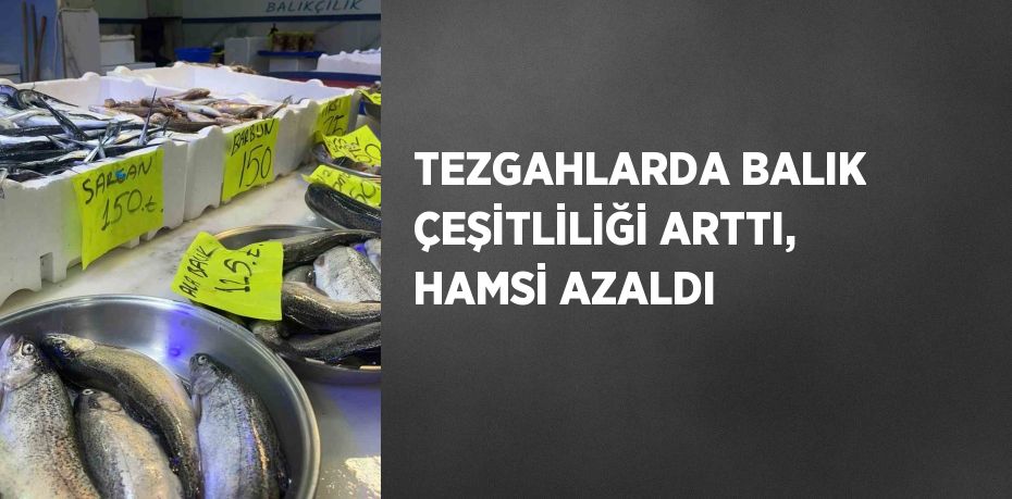 TEZGAHLARDA BALIK ÇEŞİTLİLİĞİ ARTTI, HAMSİ AZALDI