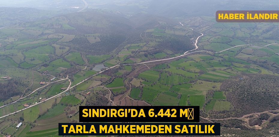 Sındırgı'da 6.442 m² tarla mahkemeden satılık