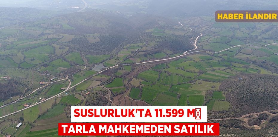 Suslurluk'ta 11.599 m² tarla mahkemeden satılık