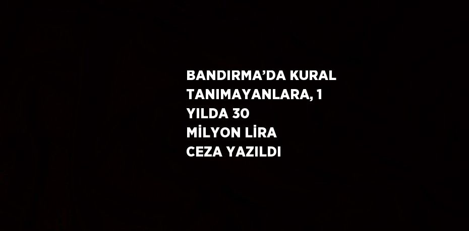 BANDIRMA’DA KURAL TANIMAYANLARA, 1 YILDA 30 MİLYON LİRA CEZA YAZILDI