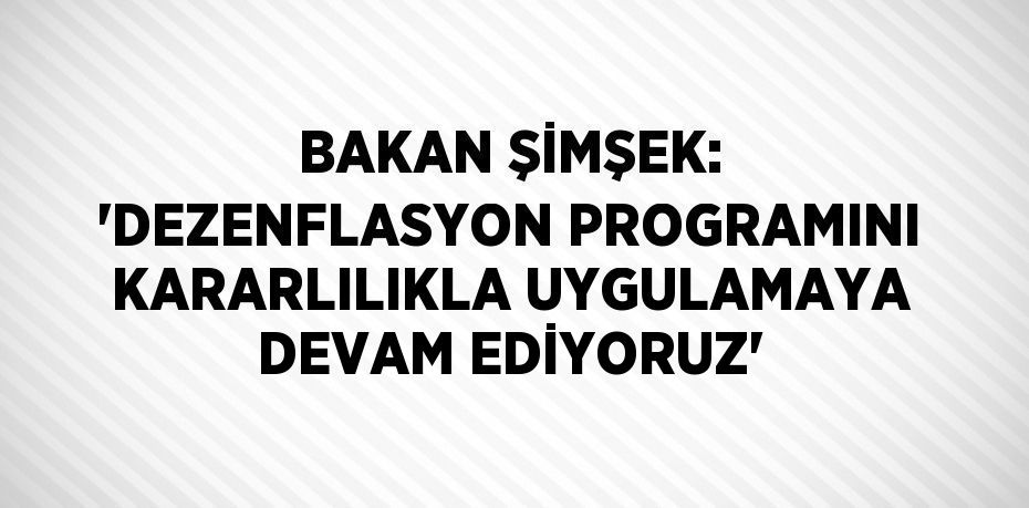 BAKAN ŞİMŞEK: 'DEZENFLASYON PROGRAMINI KARARLILIKLA UYGULAMAYA DEVAM EDİYORUZ'