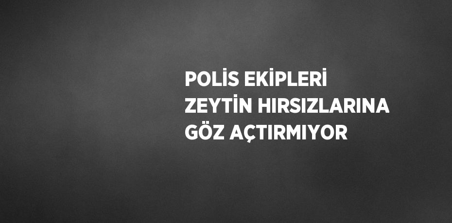 POLİS EKİPLERİ ZEYTİN HIRSIZLARINA GÖZ AÇTIRMIYOR