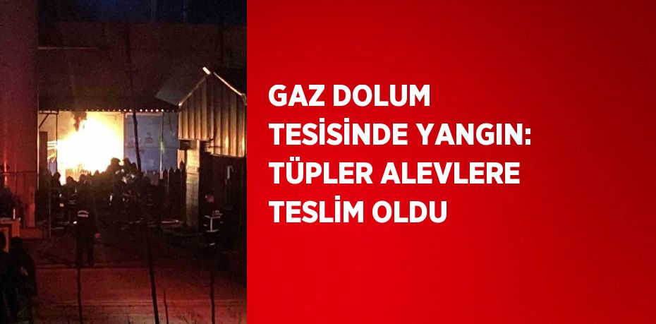 GAZ DOLUM TESİSİNDE YANGIN: TÜPLER ALEVLERE TESLİM OLDU