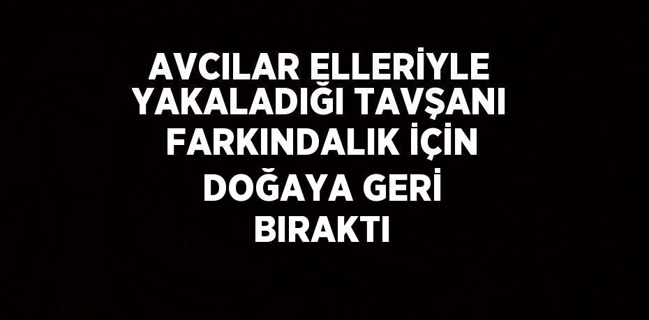 AVCILAR ELLERİYLE YAKALADIĞI TAVŞANI FARKINDALIK İÇİN DOĞAYA GERİ BIRAKTI