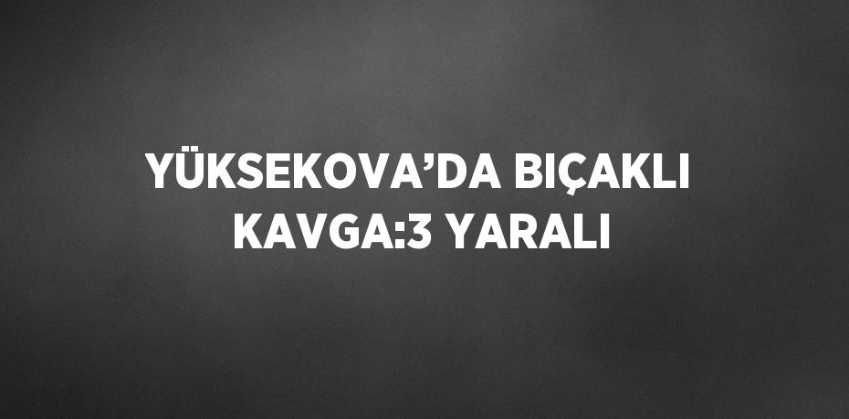 YÜKSEKOVA’DA BIÇAKLI KAVGA:3 YARALI